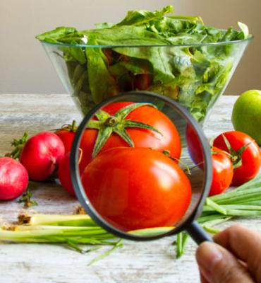 VIGILÂNCIA SANITÁRIA E QUALIDADE DE ALIMENTOS VIGILÂNCIA SANITÁRIA E QUALIDADE DE ALIMENTOS