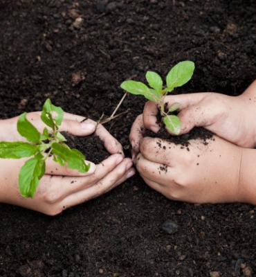 ECOLOGIA E GESTÃO AMBIENTAL ECOLOGIA E GESTÃO AMBIENTAL