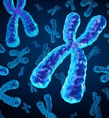 ENSINO DA CIÊNCIAS E BIOLOGIA ENSINO DA CIÊNCIAS E BIOLOGIA
