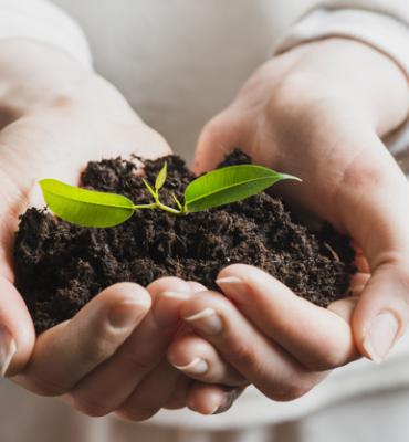 EDUCAÇÃO AMBIENTAL E DESENVOLVIMENTO SUSTENTÁVEL EDUCAÇÃO AMBIENTAL E DESENVOLVIMENTO SUSTENTÁVEL