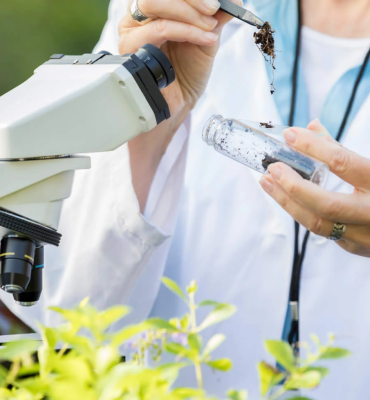 METODOLOGIA DO ENSINO DE BIOLOGIA E QUÍMICA METODOLOGIA DO ENSINO DE BIOLOGIA E QUÍMICA