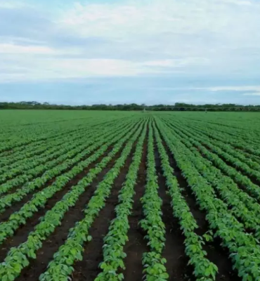 DIREITO AGRÁRIO DIREITO AGRÁRIO
